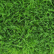 X-Luonnollisten tahrojen poistaminen