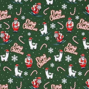 French Terry Kesäcollege Joulupukki ja laama | Glitzerpüppi – kuusenvihreä/chili, 