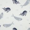 Vohvelipikee Valaat Digitaalipainatus | Poppy Fabrics – norsunluu/siniharmaa,  thumbnail number 1