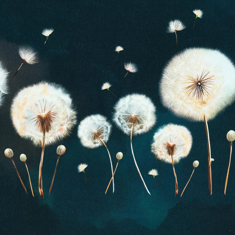 Puuvillajersey Voikukat Reunuskangas | Glitzerpüppi – sinimusta/manteli,  image number 5