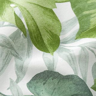 Sisustuskangas Canvas Suuret jättipeikonlehdet – valkoinen/ruohonvihreä, 