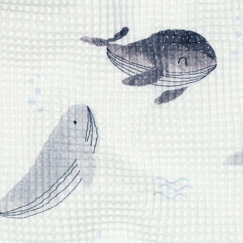 Vohvelipikee Valaat Digitaalipainatus | Poppy Fabrics – norsunluu/siniharmaa,  image number 2