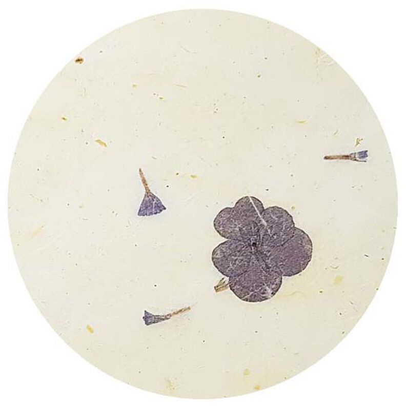Luonnonpaperisetti  "Paper Nature Viola",  image number 3