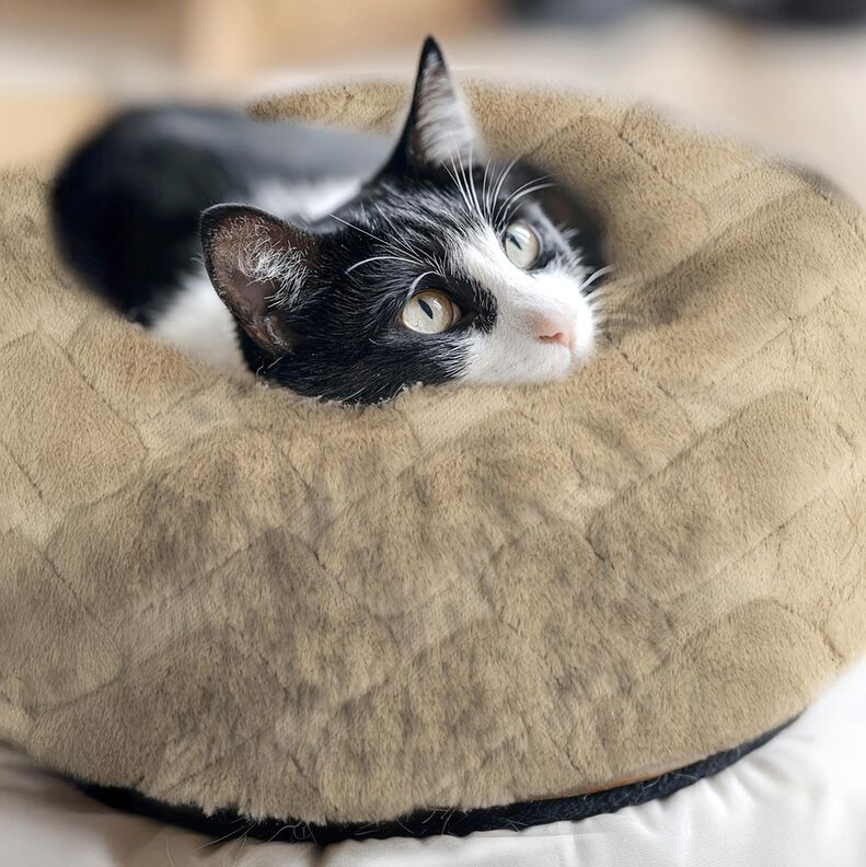 Tekoturkis Abstrakti – cashew,  image number 5