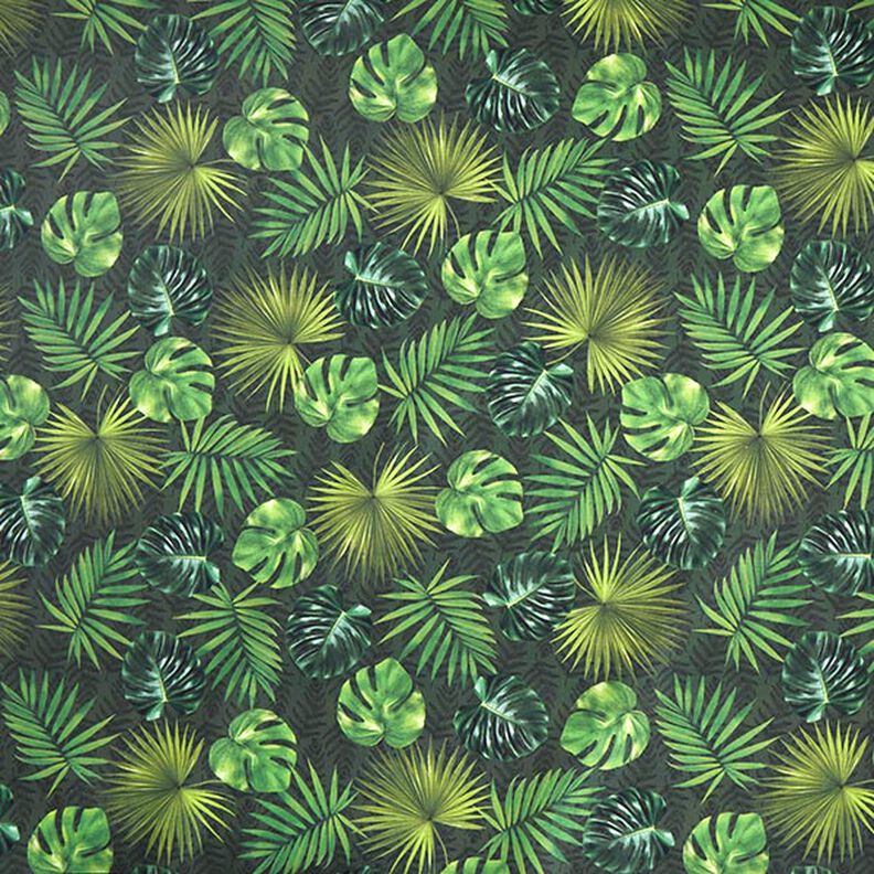 Ulkokankaat Canvas Palmunlehdet – oliivi,  image number 1