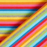 Puuvillajersey Sateenkaaririnkulat | by Poppy,  thumbnail number 4