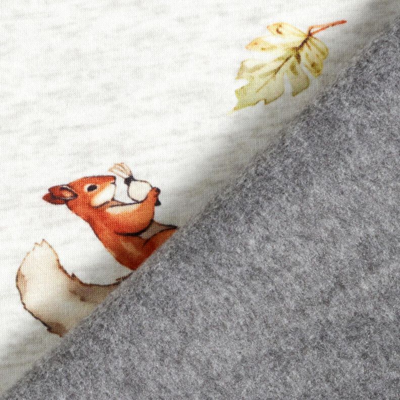 Alpenfleece Orava – luonnonvärinen/vaaleanharmaa,  image number 4