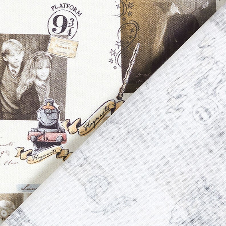 Kretonki Lisenssikangas ”Harry Potter” Muistot | Warner Bros. – vaalea beige,  image number 4